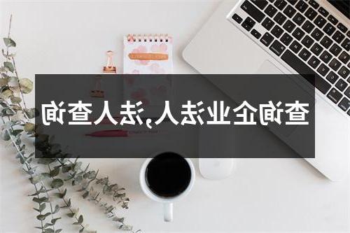 查询企业法人,法人查询